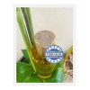 Terramar Óleo Aceite Tratamiento Cabello Terramar, 120mls Original
