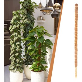 Fibra Coco Flexible 60 Cm Tutores Plantas,Tutores para Plantas Trepadoras Fibra Coco Soporte para Plantas Interior Coco para Enredaderas Monstera,para Enredaderas Extensión