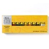 Winsor and Newton 2190517 Galeria Acrylic 10 Pieces Tube Colour