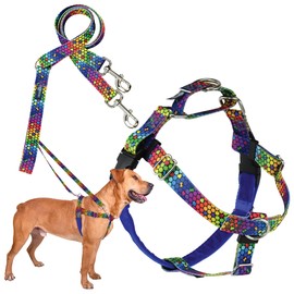 2 Hounds Design - Freedom No-Pull Harness & Training Leash in Blue and Rainbow | Dual Leash Loops, No Pulling on Walks | Lined to Prevent Chaffing | for Large Sized Dogs (Size M, Chest 24”- 28”)