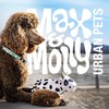 Max & Molly Matrix 2.0 Ultra LED, Dog Light, Leash