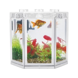Mini aquarium, small aquarium, round corner design, hexagonal shape for office decoration, (transparent)