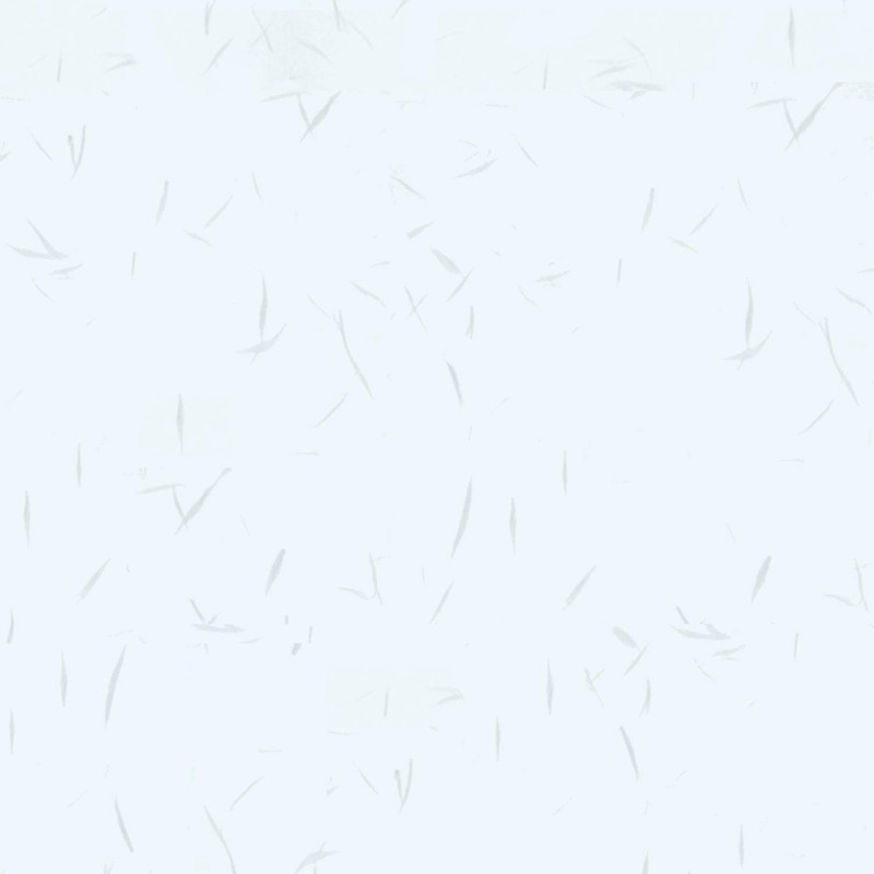 Nagatoya Shoten OA Washi Washi [Nagomimi] Na-763 A4 Dairei Mizu