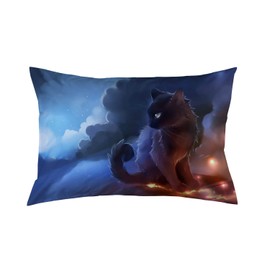 EKOBLA Cat Warrior Pillowcases Pillows Covers Cases Bedroom Decor Decoration Rectangle Two Sides Printed 20x30 Inch Hotel,Cafe,Car,Sofa Throw Pillow Case Cushion Cover