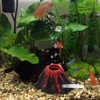 NOLITOY Aquarium Decorations Volcano Landscape Fish Tank Bubbler Ornaments for