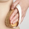 Firschoie Hemu Dry Brush, Natural Bristles, Body Brush for Removing