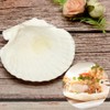 8PCS White Large Scallop Shells 4-5 inch, Natural Seashells for