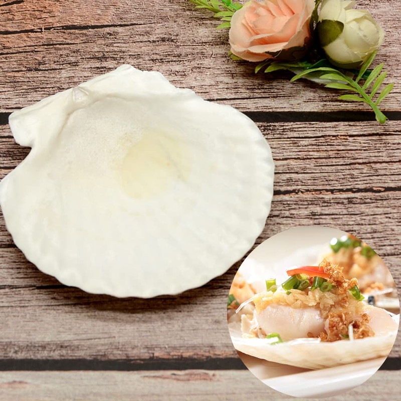 8PCS White Large Scallop Shells 4-5 inch, Natural Seashells for