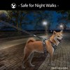 PoyPet No Pull Dog Harness with Neck Release Buckle, Reflective