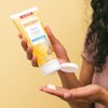 Burt's Bees Milk and Honey Body Lotion, 6 Ounces (Pack