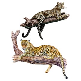DEIKOKA 2 Pack Removable Leopard on Tree Branch Wall Decal African Panther Jaguar Wall Stickers, Peel and Stick Living Room Kids Bedroom Classroom Playroom Decor