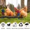 Chicken Bird Swing,Chicken Perch,Natural Wooden Swing Toys,Wood Stand for Chick,Safe