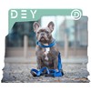 DEY - Premium Air Mesh Dog Collar | Adjustable |