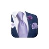 DiBanGu 4pcs Tie Set Light Purple Plaid Necktie, Lavender Purple