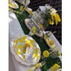 MaitianGuyou Lemon Birthday Party Supplies Tableware Set,Disposable Dinnerware Decoration Supplies