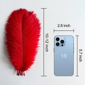 Piokio 10pcs Red Ostrich Feathers 10-12 inch (25-30cm) Bulk Feathers for Home Decoration and DIY Clothes Decoration, Gatsby Decorations