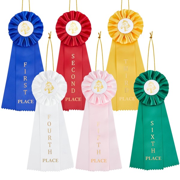 Yuxung 12 Pieces Horse Show Rosette Award Ribbon 1st -