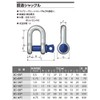 OH Industrial OH Forged Shackle U-Shaped 2t SC-20T