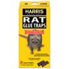 Harris Rat Glue Traps, Fully Disposable (2-Pack)