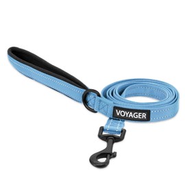 Voyager Reflective Dog Leash with Neoprene Handle, 5ft Long, Supports Small, Medium, and Large Breed Puppies, Cute and Heavy Duty for Walking, Running, and Training - Baby Blue (Leash), S