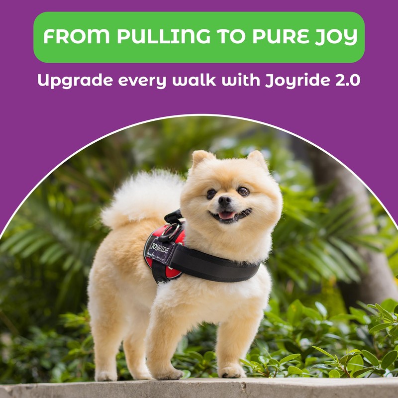 Joyride Harness 2.0 - The Original Side Ring No Pull