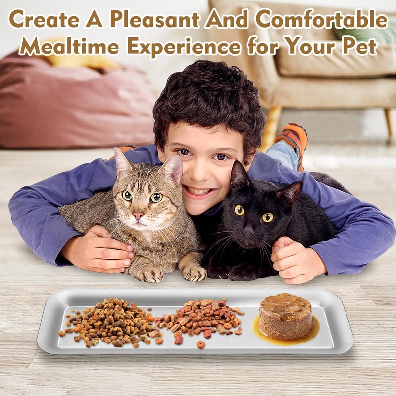 Fhiny 2PCS Stainless Steel Cat Bowls, Non-Slip Extra Wide Metal