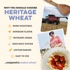 Sunrise Flour Mill USDA Organic Heritage Pasta Flour - 5