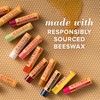 Burt's Bees Moisturizing Lip Balm for Dry Chapped Lips, Holiday