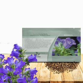 Outsidepride Medium Blue Canterbury Bells Flower Seeds - 5000 Pcs Biennial Easy to Grow Cut Flower Garden Seeds with Charming Bell-Shaped Blooms for Floral Arrangements, Borders, & Cottage Gardens