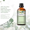 PHATOIL Aromatic Oil, Jasmine Essential Oil, 1.0 fl oz (30