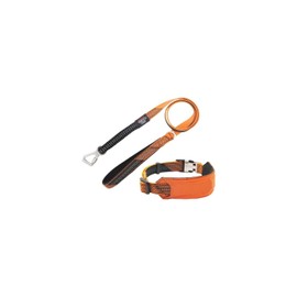 Maykoosh Victorian Vibes 2-in-1 Shock Absorbing Neoprene Padded Reflective Dog Leash and Collar, Collars for Dogs, Dog Collar for Walking, Nylon and Leather Collars - Large Orange