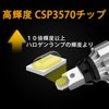 OTORAM T16/T15 Back Lamp, RAV4 50 Series, Compatible/Application, Explosive Light,