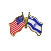 Unbranded Pack of 10 SUPPORT ISRAEL and USA Crossed Friendship