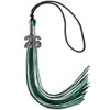 Endea Graduation Mixed Triple Color Tassel with Silver Bling Charm