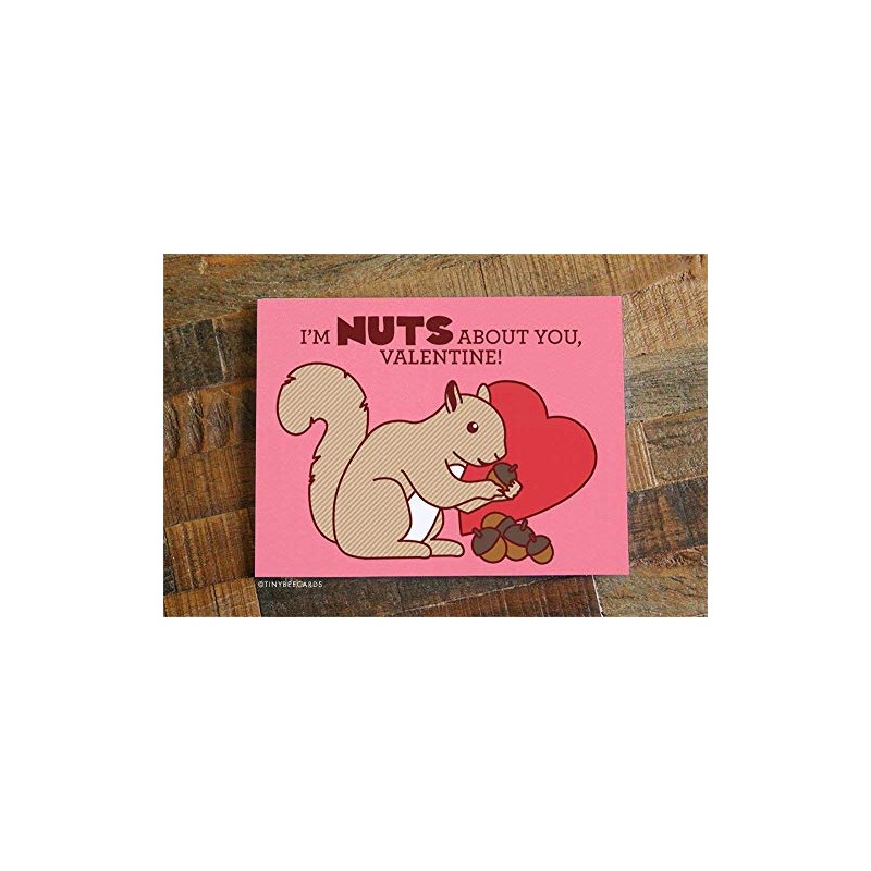 Cute Squirrel Valentine's Day Card - "I'm Nuts About You!"