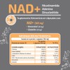 HEALTHADDICTION - NAD+ 300 mg – Suplemento Alimenticio con Resveratrol