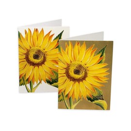 Caspari Sunflower Blank Boxed Note Cards, 32 Cards & Envelopes