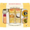Burt's Bees Tips and Toes Kit Holiday Gift Set, 6
