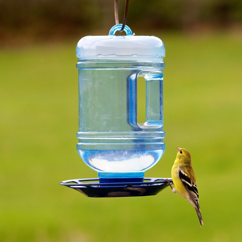 Perky-Pet Hanging Water Cooler Bird Waterer and Dispenser - 48