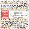 Birds of North America by Pop Chart Lab Wall Calendar