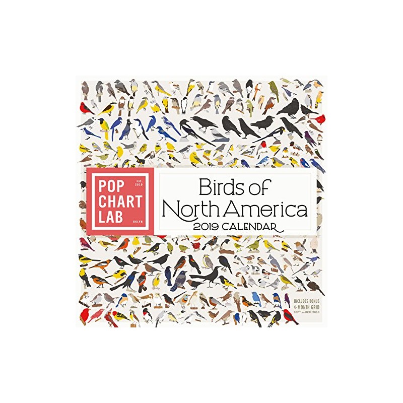 Birds of North America by Pop Chart Lab Wall Calendar