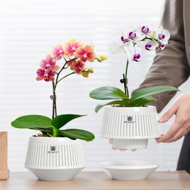 Meshpot 5 inch Orchid Pots with Holes for Repotting,Set of 2,Decorative Orchid Planter with Air-Pruning and Good Air Circulation,Plastic White Orchid Container with Saucers