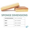bioGo 12 Pack Biodegradable Kitchen Sponges - Eco-Friendly, Compostable, Natural