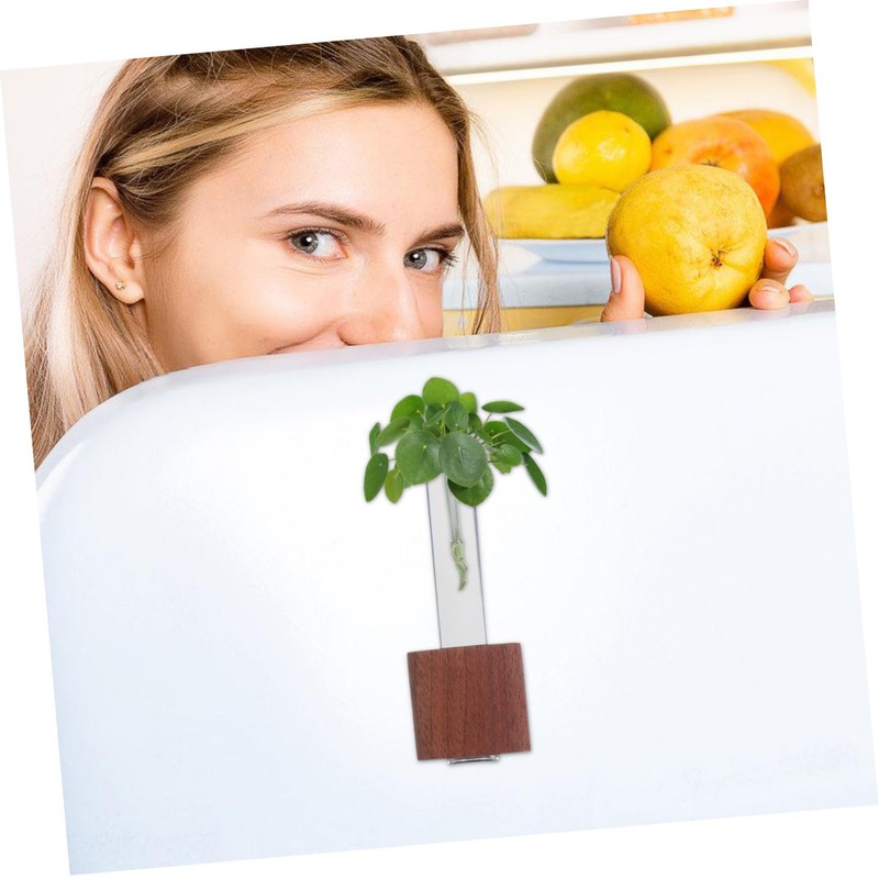 Totority Test Tube Planter Cute Flower Vase for Office Kitchen