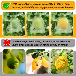 Shintop Shintop 100Pcs Fruit Protection Bags, 4x6 Inch Green Strawberry Netting Cover Drawstring Mesh Bags Pest Barrier for Blueberry Small Fruit