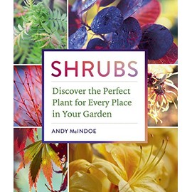 Shrubs: Discover the Perfect Plant for Every Place in Your Garden