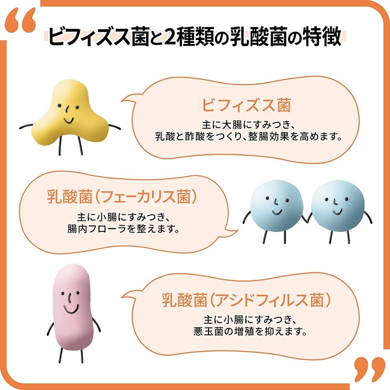 【まとめ買い】 新ビオフェルミンS錠540錠(約60日分)×2個 [指定医薬部外品] Useful Summit Storeオリジナル商品ページ