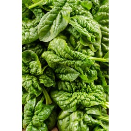 Spinach Bloomsdale Longstanding Pkt - Approx. 300 seeds