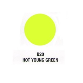 Verity Nail Polish Hot Young Green B20