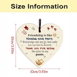 Best Friend Gift for Women Friendship Gift Birthday Girlfriend Wooden Hanging Heart Plaque Cute Funny Inspirational Quote Special Friends Gifts for Women